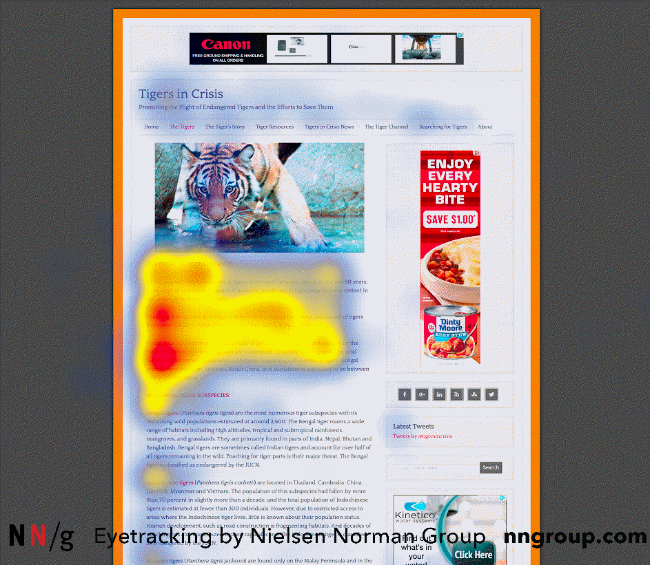 Image showing thermal eye tracking of a web page, where eyes are usually directed to