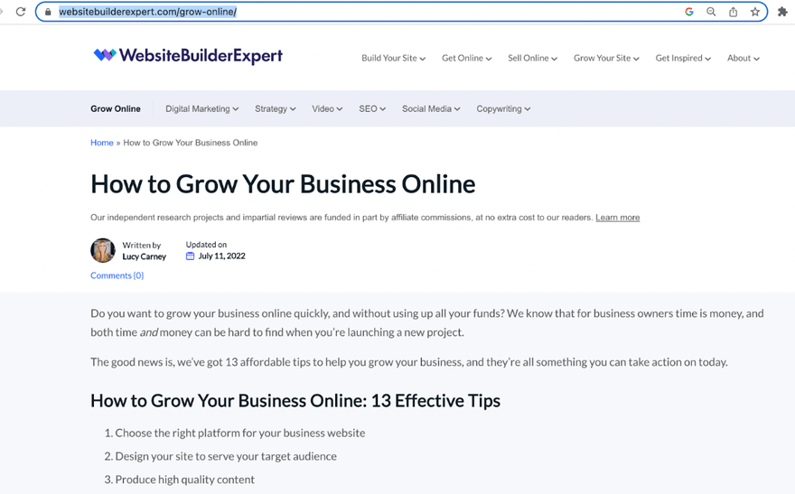 Website Builder Expert article with the URL highlighted